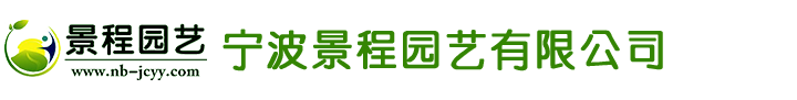 東莞市德源智能科技有限公司 